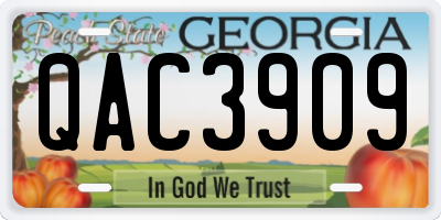 GA license plate QAC3909