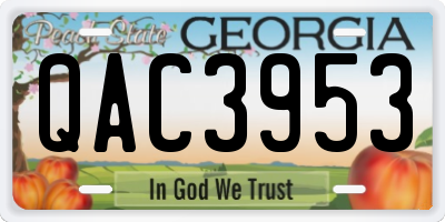 GA license plate QAC3953