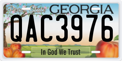 GA license plate QAC3976