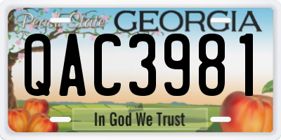 GA license plate QAC3981