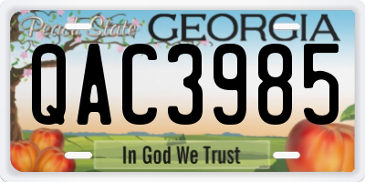 GA license plate QAC3985