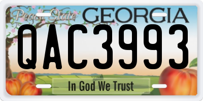 GA license plate QAC3993