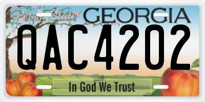 GA license plate QAC4202