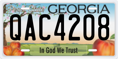 GA license plate QAC4208