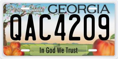 GA license plate QAC4209