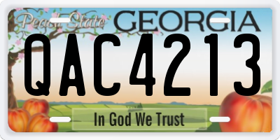 GA license plate QAC4213