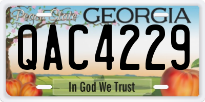 GA license plate QAC4229