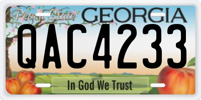 GA license plate QAC4233