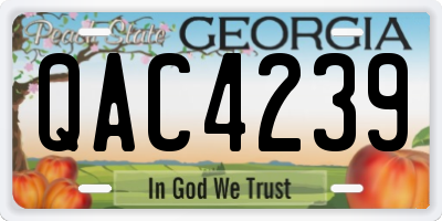 GA license plate QAC4239
