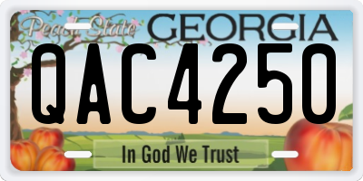 GA license plate QAC4250