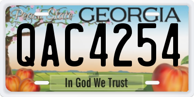 GA license plate QAC4254