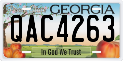 GA license plate QAC4263