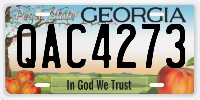 GA license plate QAC4273