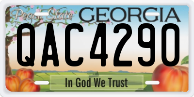 GA license plate QAC4290