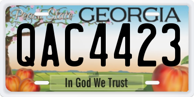 GA license plate QAC4423