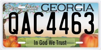 GA license plate QAC4463