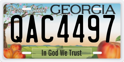 GA license plate QAC4497