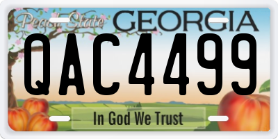 GA license plate QAC4499