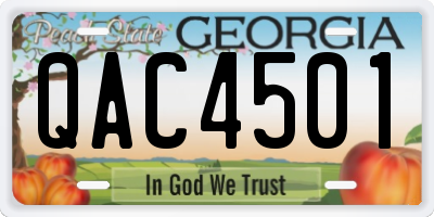 GA license plate QAC4501
