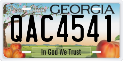 GA license plate QAC4541