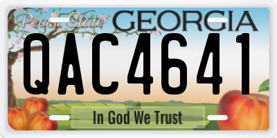 GA license plate QAC4641