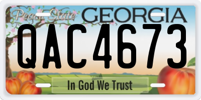 GA license plate QAC4673
