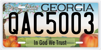 GA license plate QAC5003
