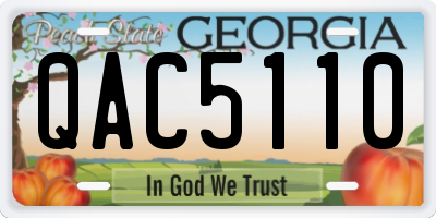 GA license plate QAC5110