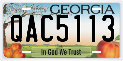 GA license plate QAC5113