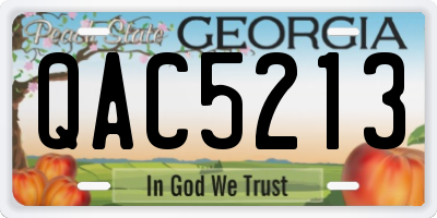 GA license plate QAC5213