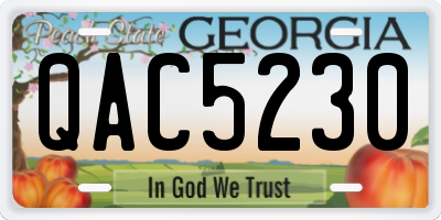 GA license plate QAC5230