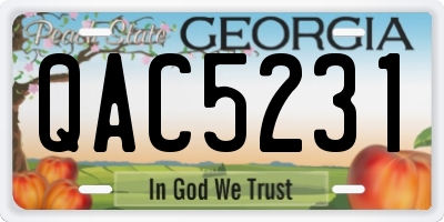 GA license plate QAC5231