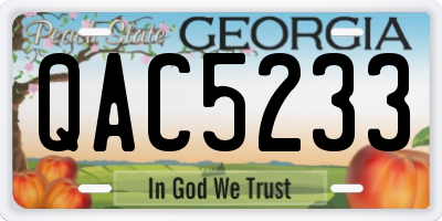 GA license plate QAC5233