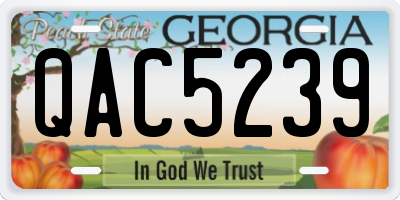 GA license plate QAC5239