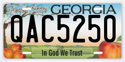 GA license plate QAC5250