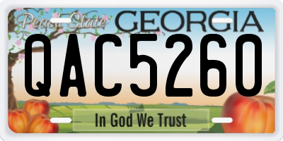 GA license plate QAC5260