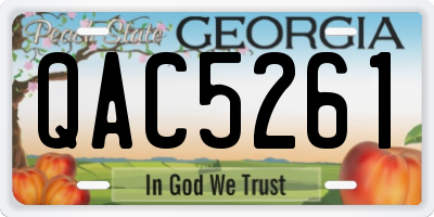 GA license plate QAC5261