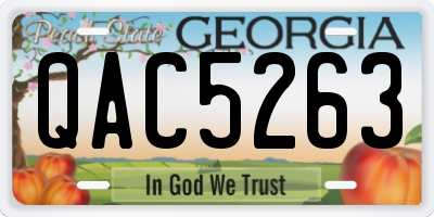 GA license plate QAC5263