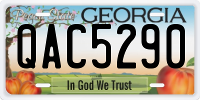 GA license plate QAC5290