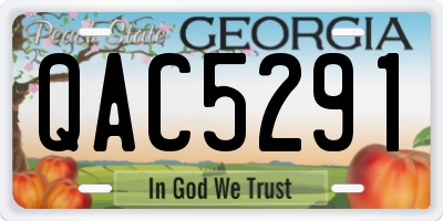 GA license plate QAC5291