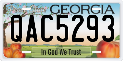 GA license plate QAC5293