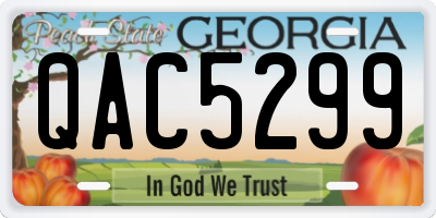 GA license plate QAC5299