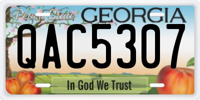 GA license plate QAC5307