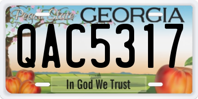 GA license plate QAC5317