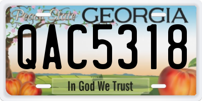 GA license plate QAC5318