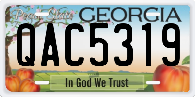 GA license plate QAC5319