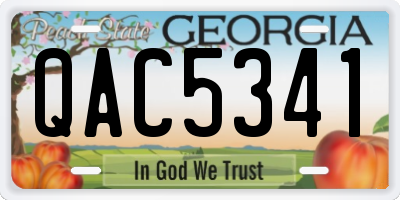 GA license plate QAC5341