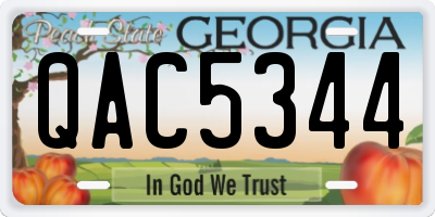 GA license plate QAC5344