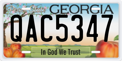 GA license plate QAC5347