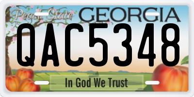 GA license plate QAC5348